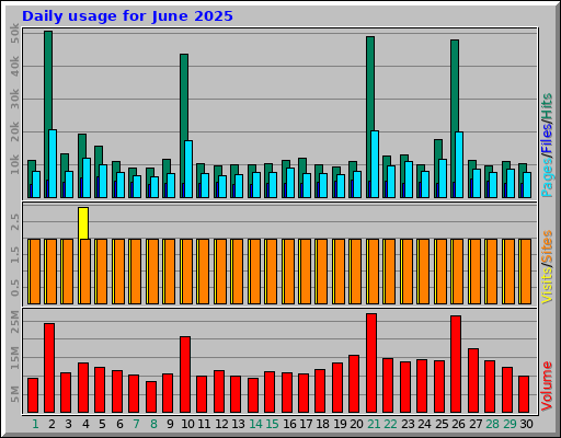 Daily usage for June 2025