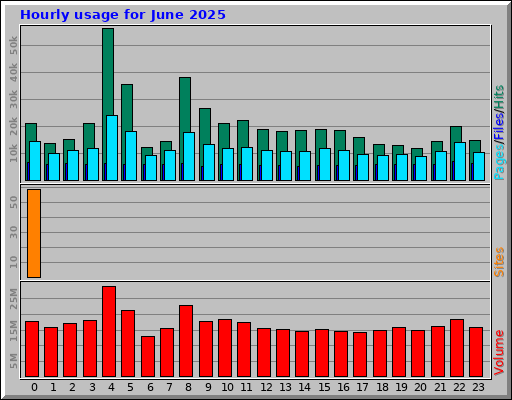 Hourly usage for June 2025