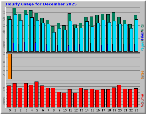 Hourly usage for December 2025
